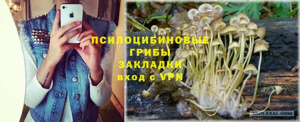 mdma Горнозаводск