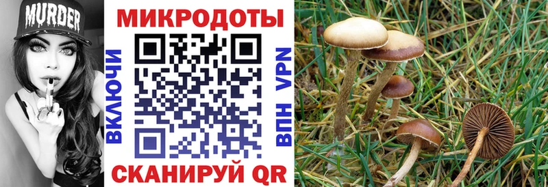 Купить где  Пучеж  Галлюциногенные грибы мухоморы 